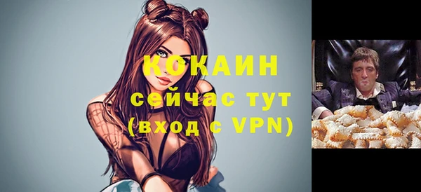 apvp Алзамай