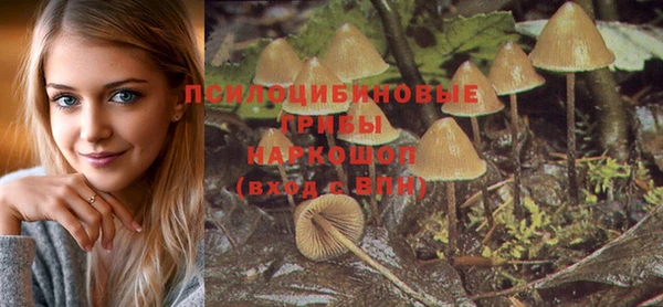 apvp Алзамай