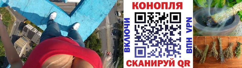 как найти   дарк нет состав  Каннабис MAZAR  Дно 